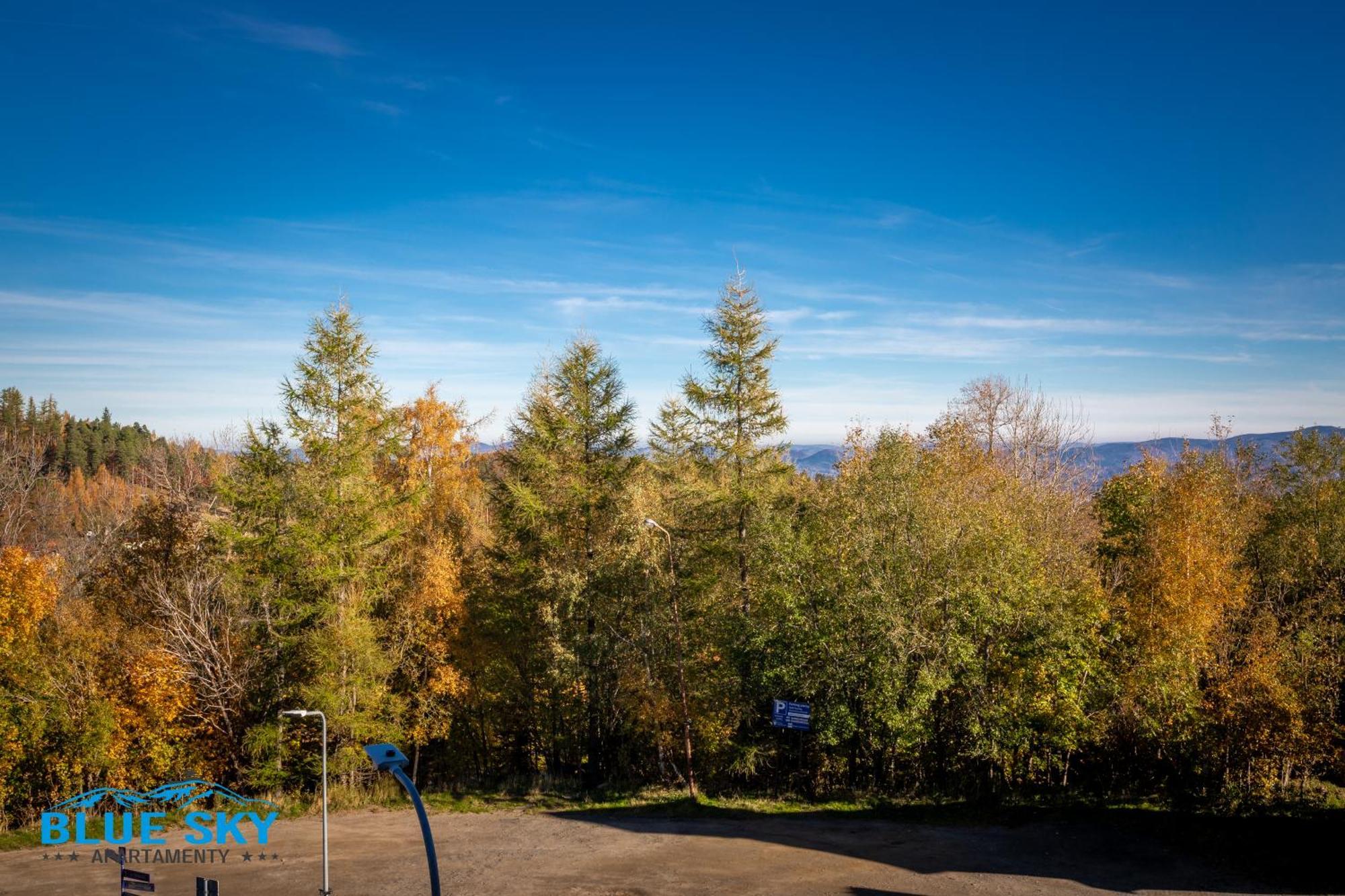 Apartamenty Bluesky - Karkonoska 13, Z Widokiem Na Gory, Blisko Szlakow I Wyciagow, W Zielonej Okolicy 卡尔帕奇 客房 照片